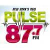 PULSE87 NY